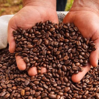 Premium Coffee Beans